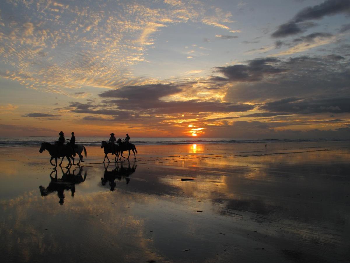 Las Lajas Beach Resort Екстер'єр фото